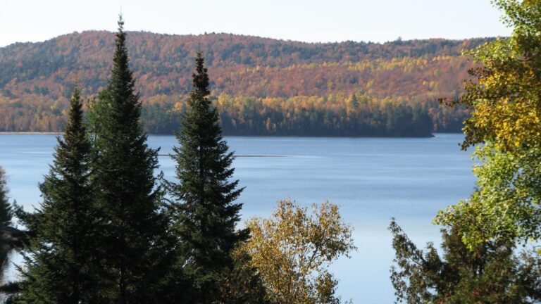 Baie des îles, 11 octobre 2011, 195 Ko