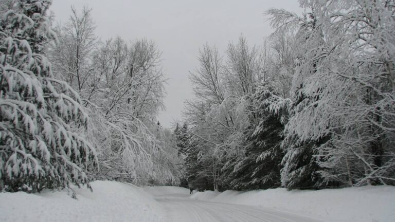 Chemin de la Grande Baie, 6 mars 2011, 183 Ko