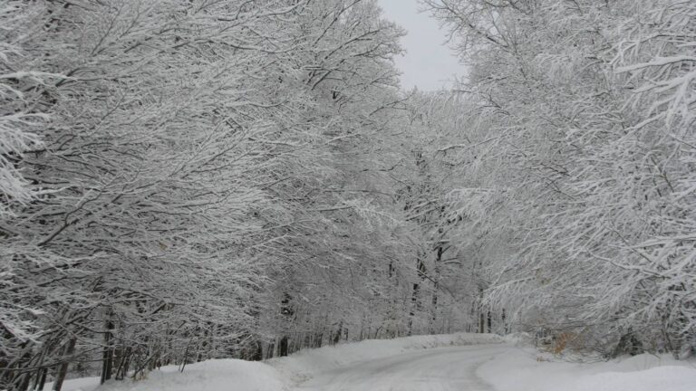 Chemin du lac Gagnon ouest, 6 mars 2011, 219 Ko